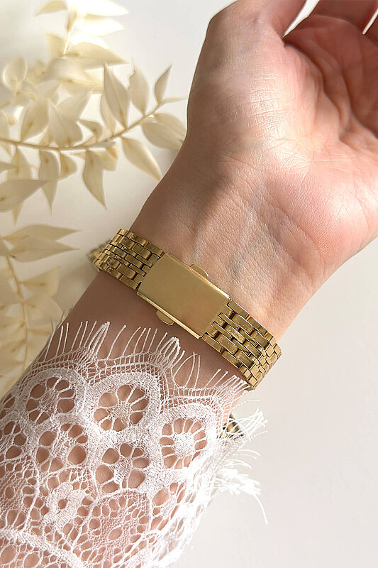 Lucia Ekru Kadran Gold Çelik Kordon Kadın Kol Saati - 3