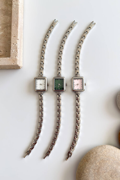 Paris Pudra Kadran Silver Çelik Kordon Kadın Kol Saati (1)