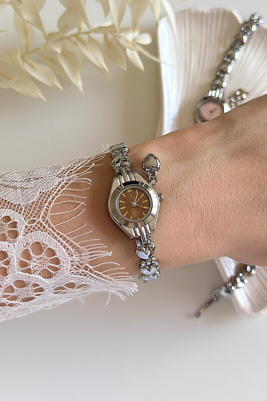 Shine Kalpli Kahverengi Kadran Silver Metal Kordon Kadın Kol Saati  